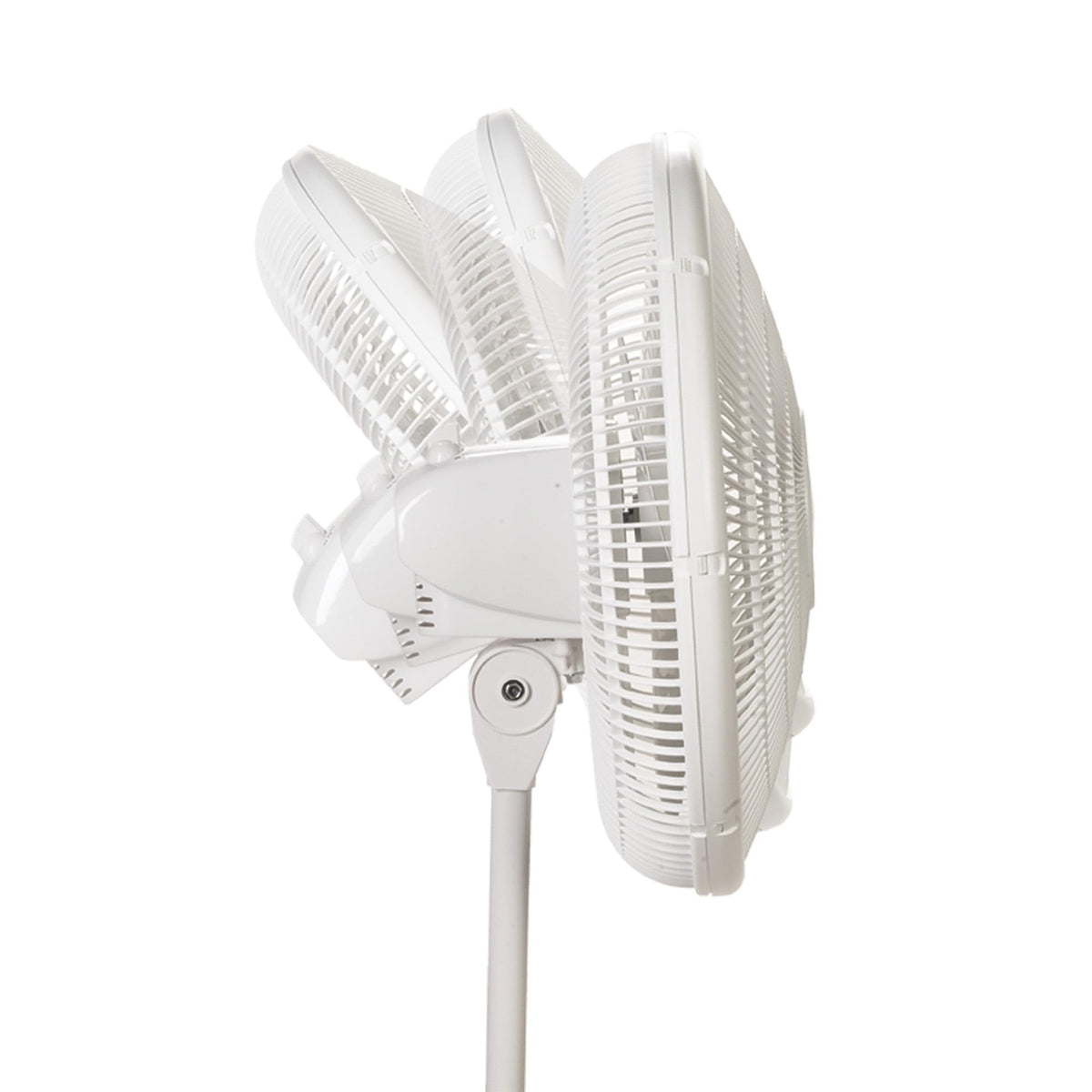 16" Oscillating 3-Speed Pedestal Fan White E52613