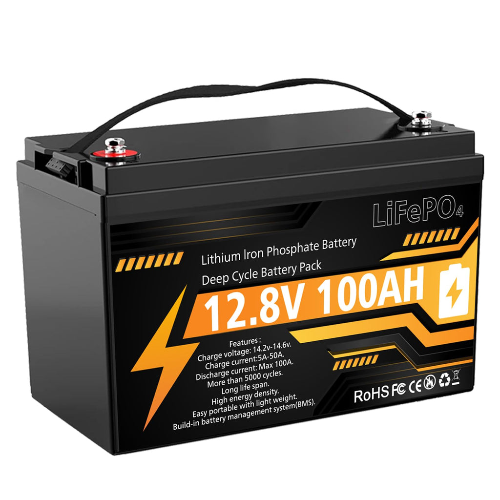 12V 100Ah LiFePO4 Deep Cycle Battery Z21353