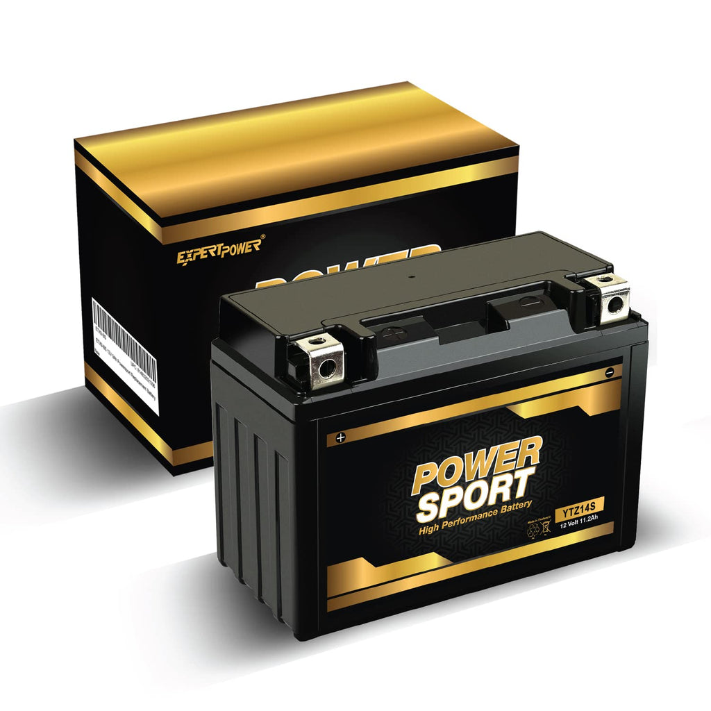 12V 11.2Ah SLA AGM Motorcycle Battery D452382