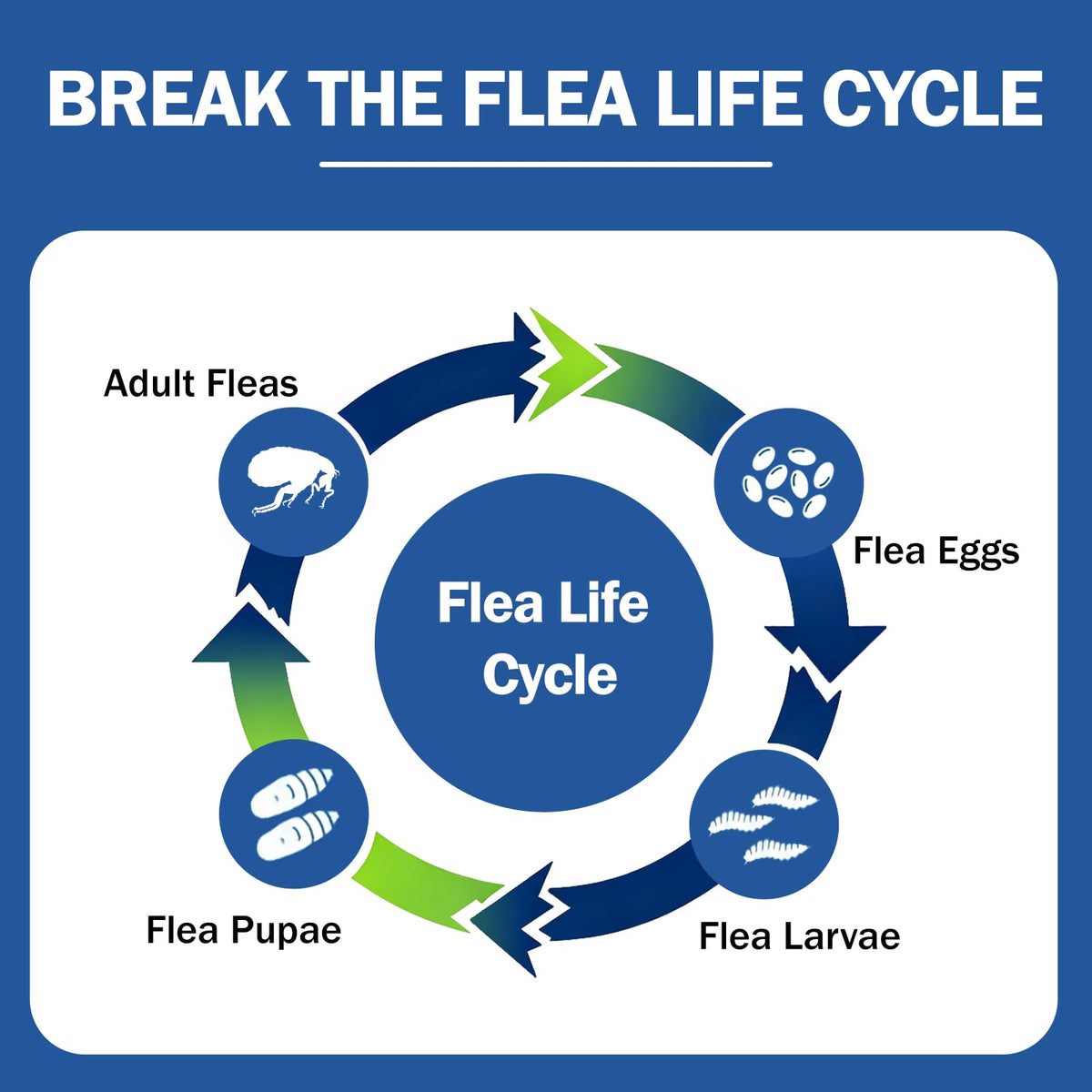 Flea and Tick Prevention for Small and Medium Dogs G9608