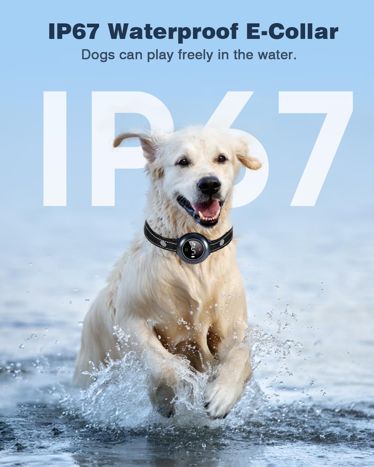 2-in-1 Dog Shock Collar & Dog Bark Collar IP67 Waterproof O346