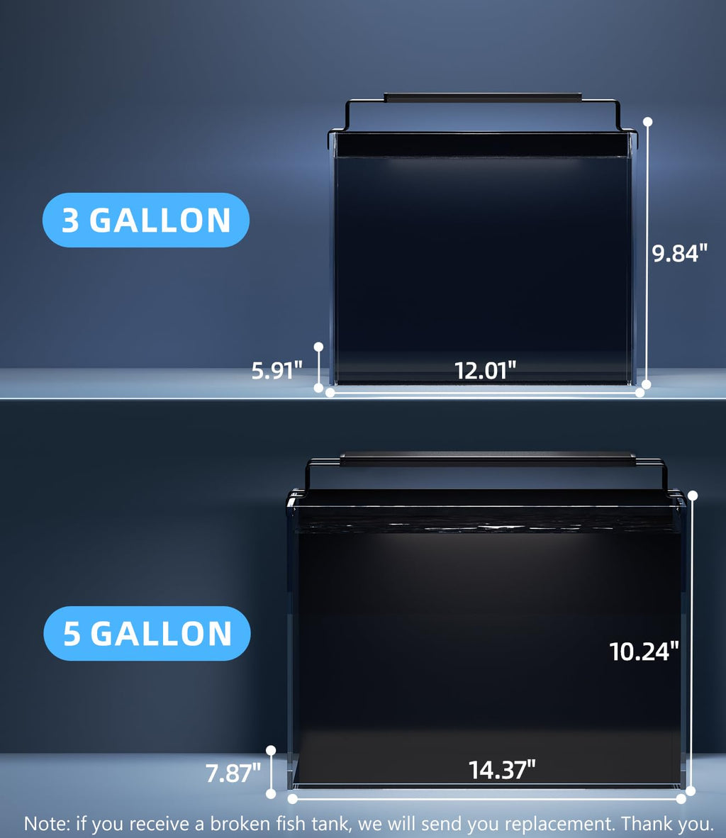 5 Gallon Rimless Glass Aquarium Starter Kit with Filter Light Lid R969