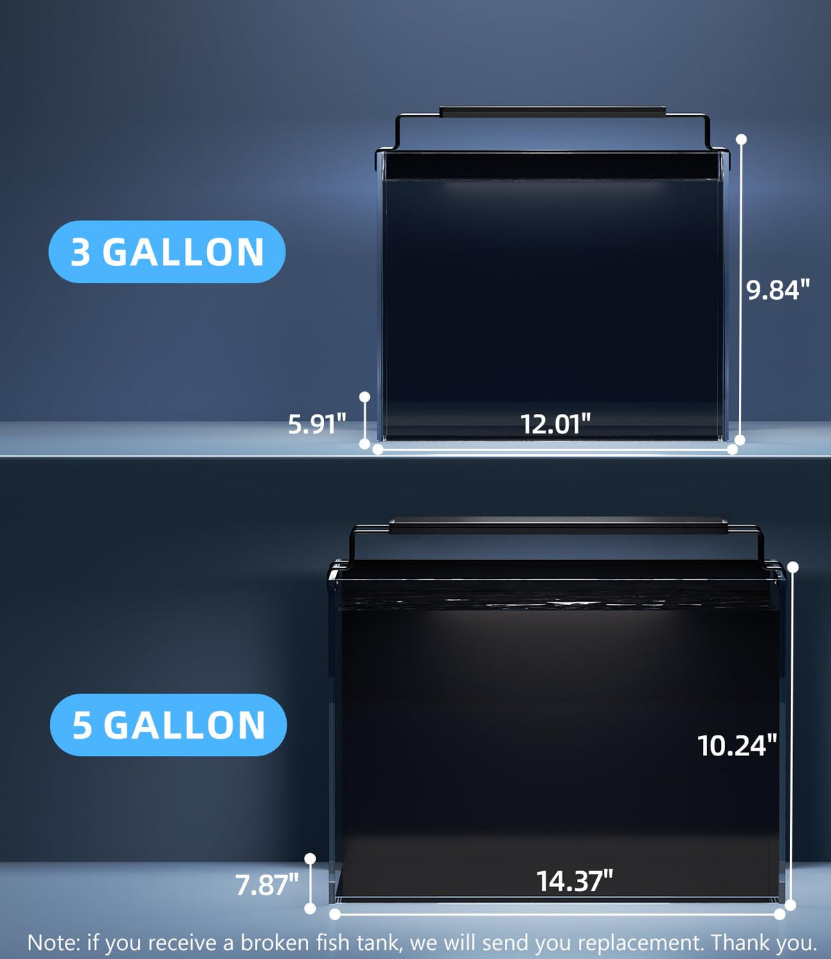 5 Gallon Rimless Glass Aquarium Starter Kit with Filter Light Lid R969