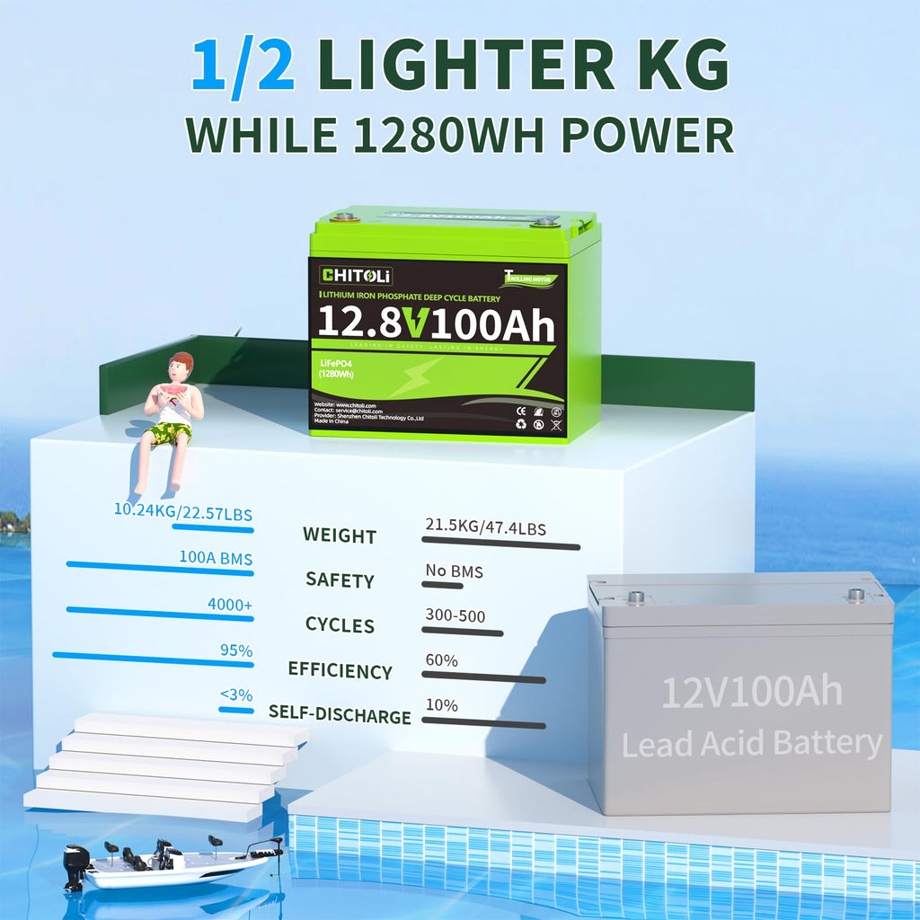 12V 100Ah LiFePO4 Battery with 100A BMS X21717
