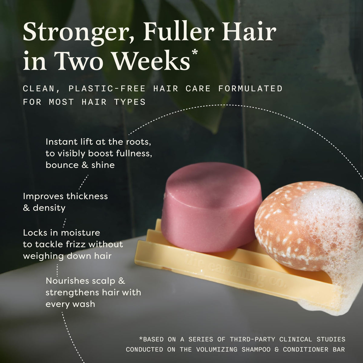Shampoo & Conditioner Bar Set T650