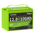 12V 100Ah LiFePO4 Battery with 100A BMS X21717