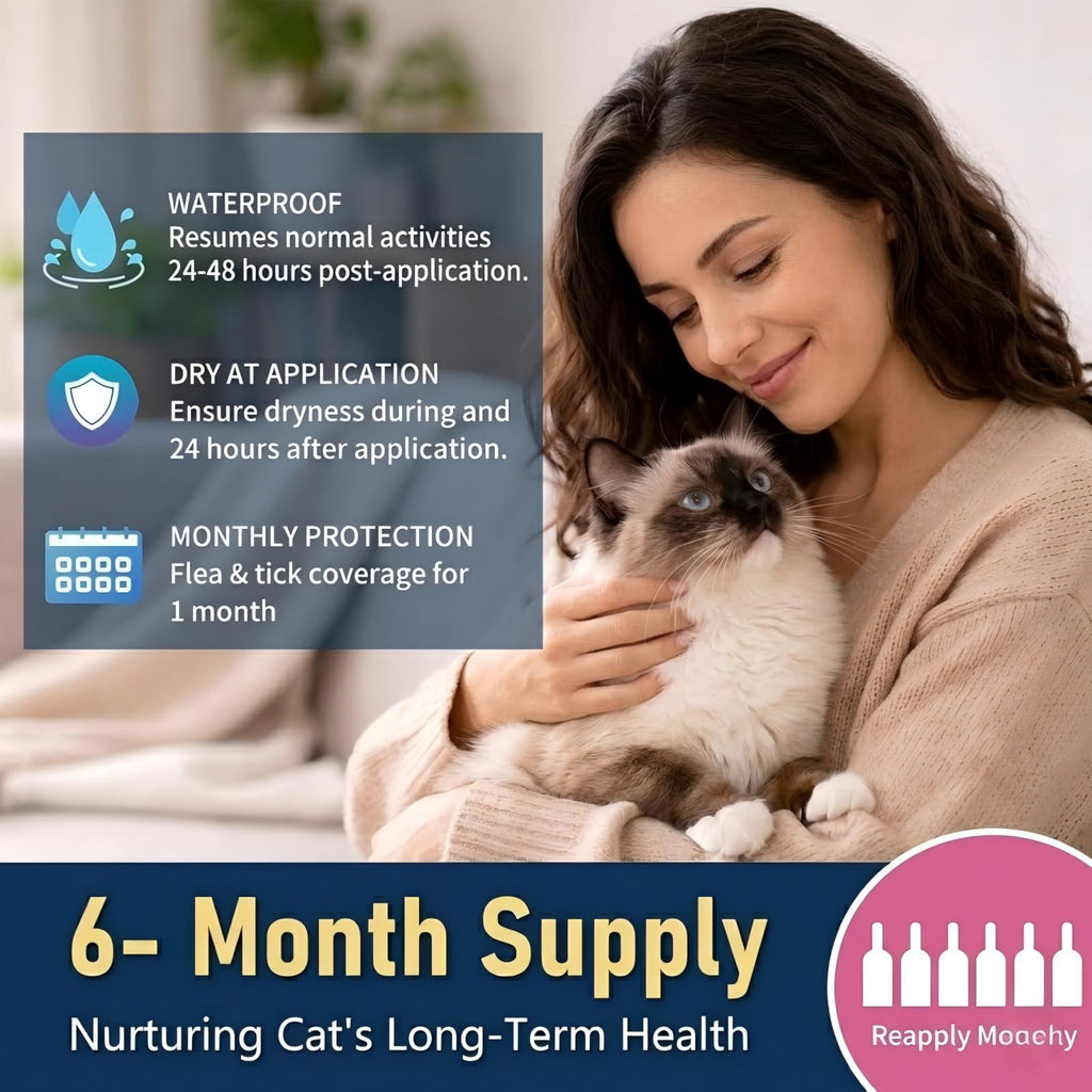 Topical Flea & Tick Cat Dewormer 6 Doses L502600
