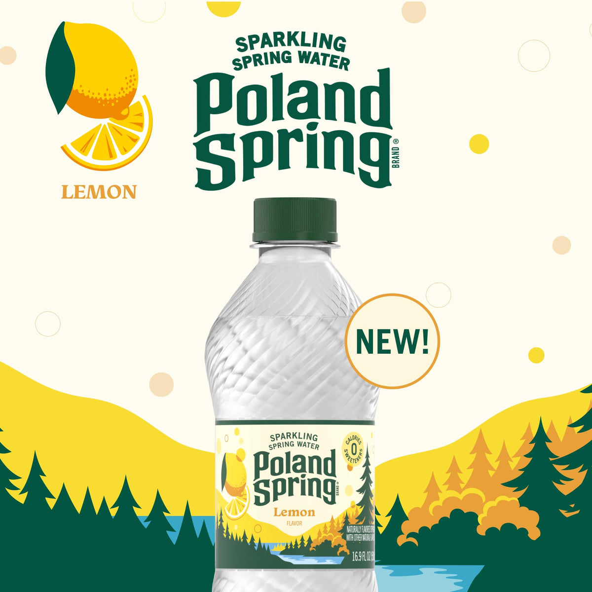 Sparkling Water 16.9 oz Bottles Pack of 8 C710157