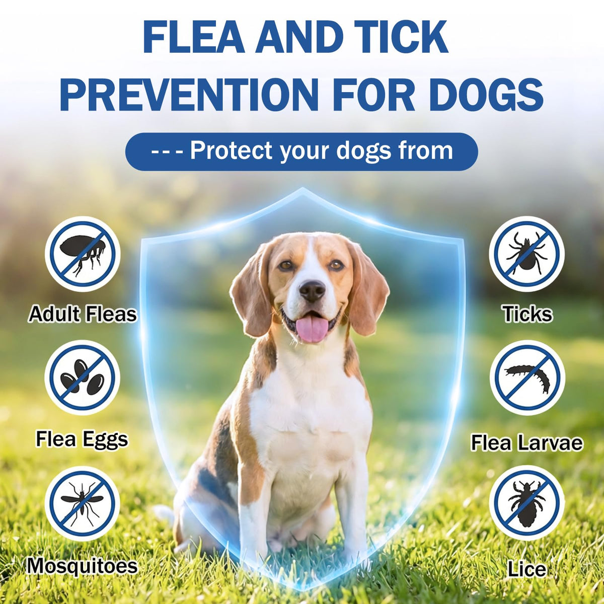 Flea and Tick Prevention for Small and Medium Dogs G9608