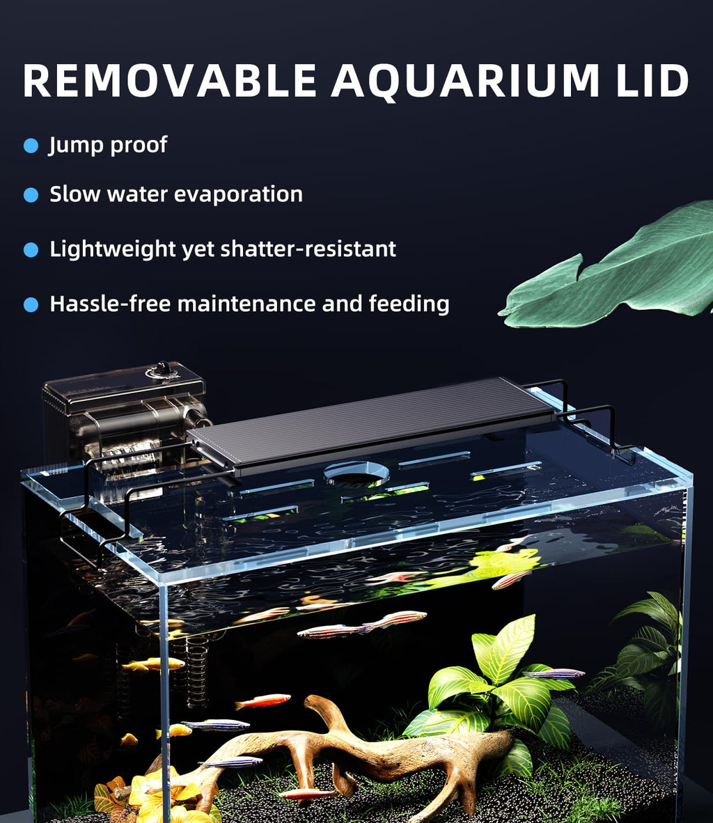 5 Gallon Rimless Glass Aquarium Starter Kit with Filter Light Lid R969
