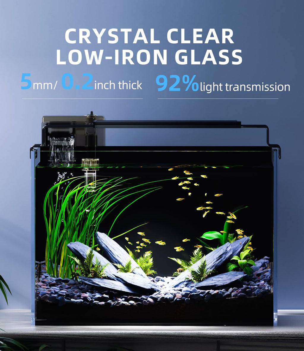 5 Gallon Rimless Glass Aquarium Starter Kit with Filter Light Lid R969