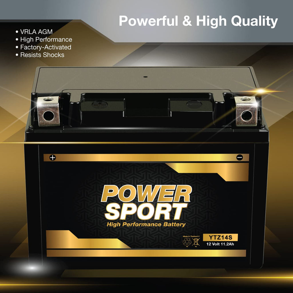 12V 11.2Ah SLA AGM Motorcycle Battery D452382