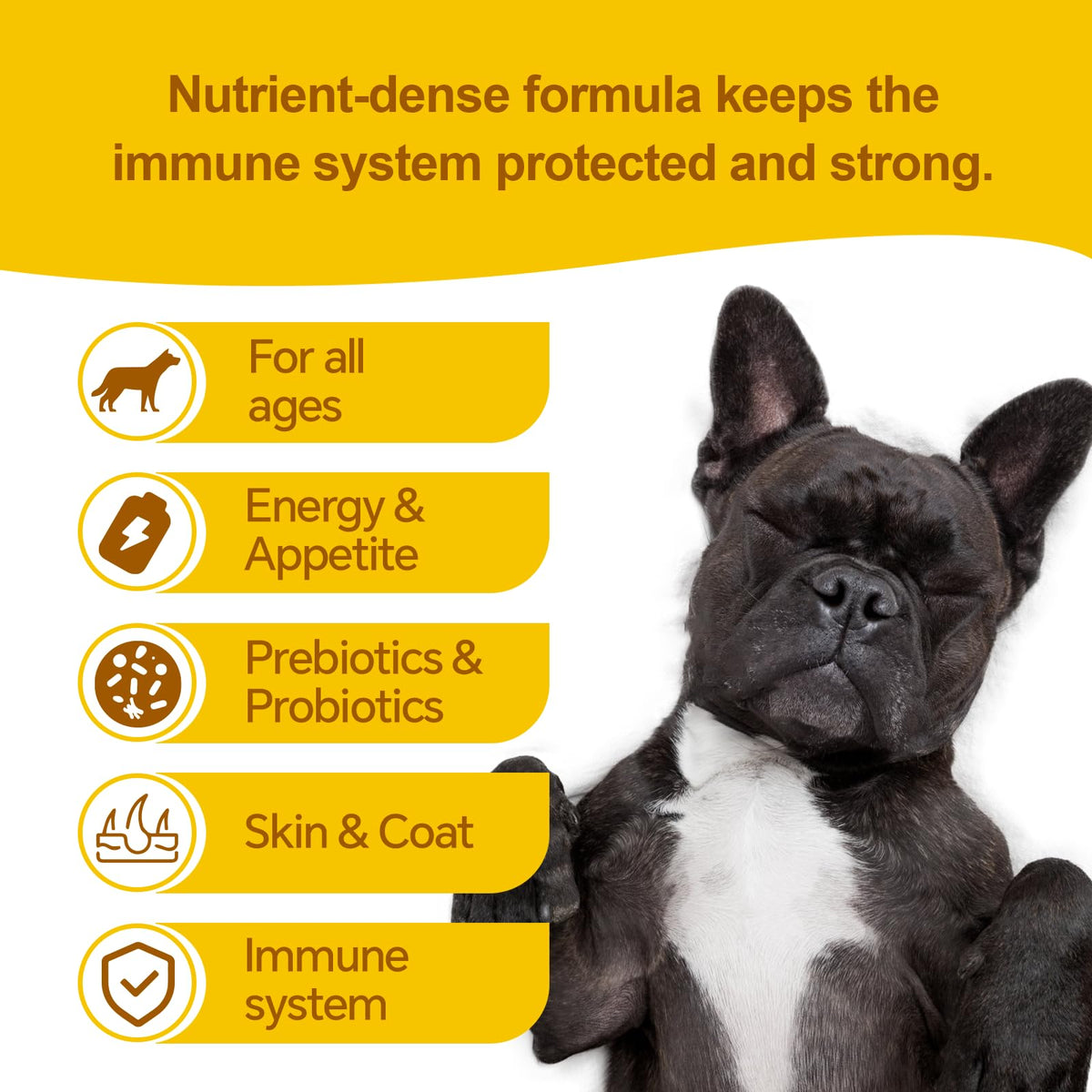 High-Calorie Dog Weight Gainer Gel with Salmon Oil, Probiotics, Vitamins & Electrolytes F100418