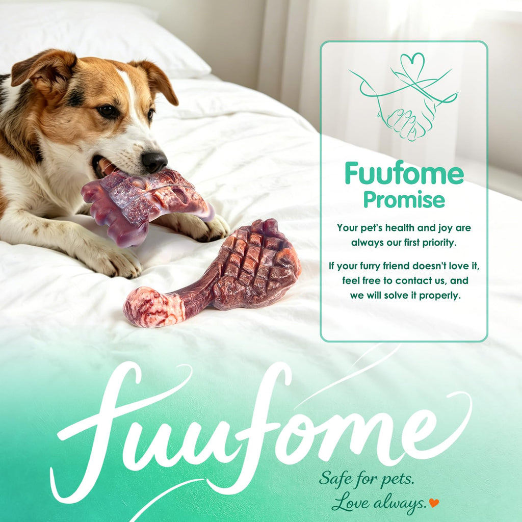 Tough Dog Chew Toys, 2 Pack Hard Nylon Bone N202258