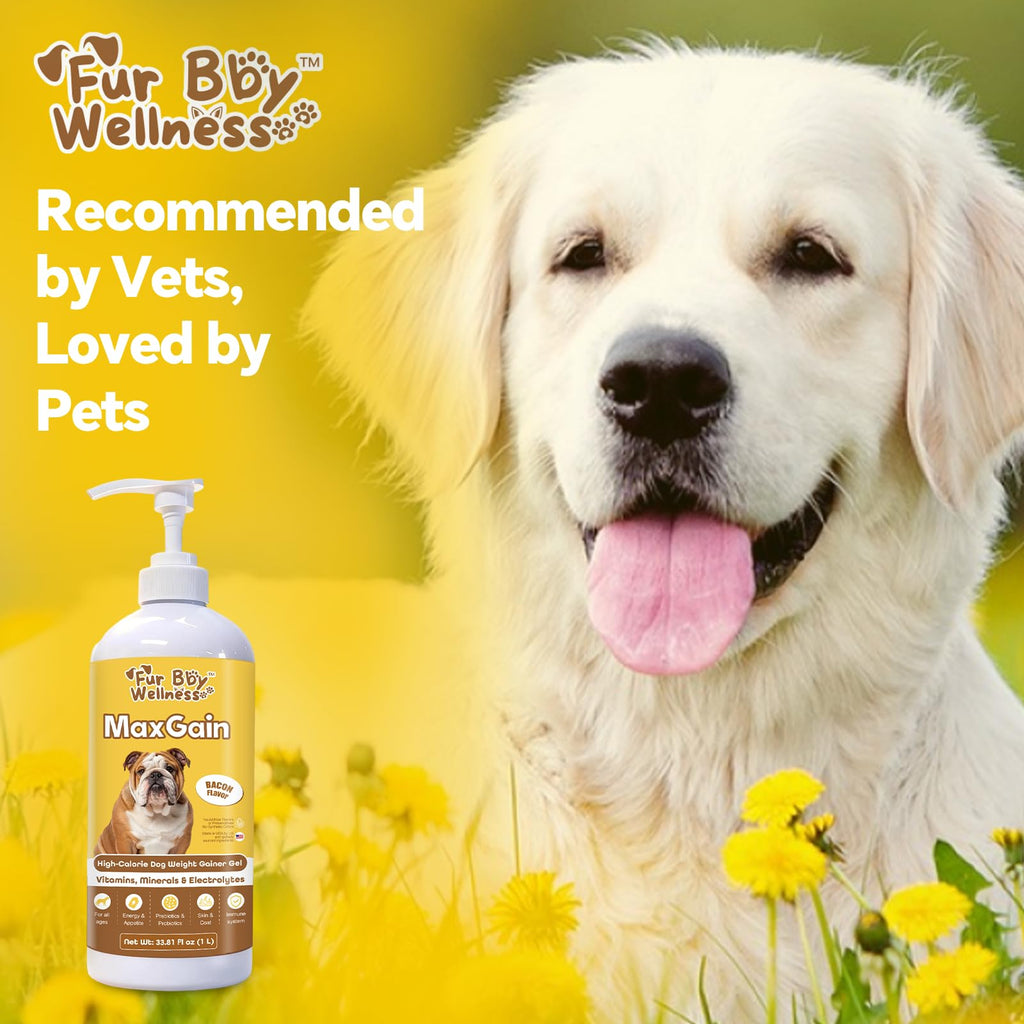 High-Calorie Dog Weight Gainer Gel with Salmon Oil, Probiotics, Vitamins & Electrolytes F100418