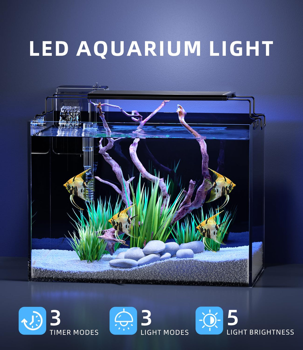 5 Gallon Rimless Glass Aquarium Starter Kit with Filter Light Lid R969