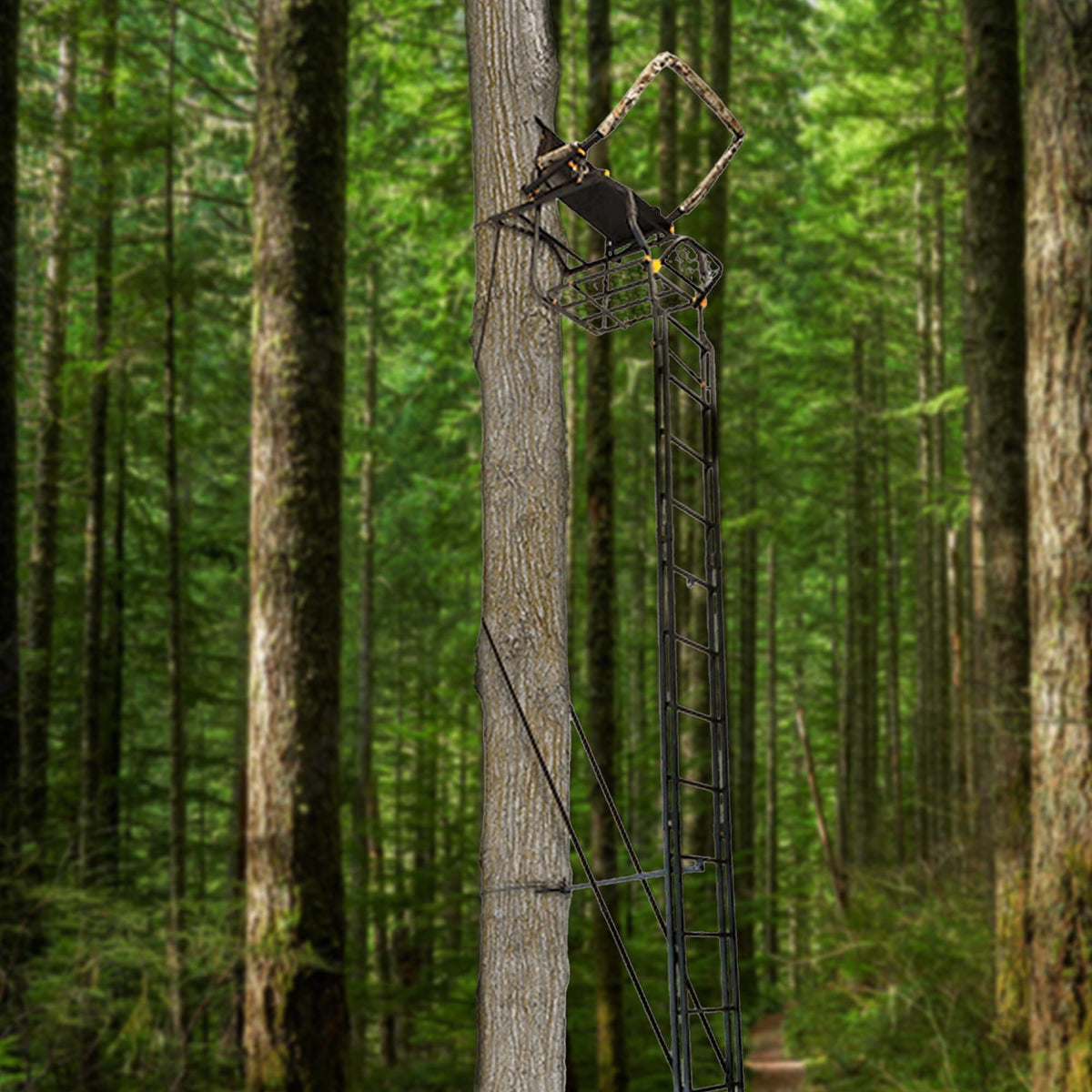 Adjustable 17 ft 1-Person Ladder Tree Stand X782785