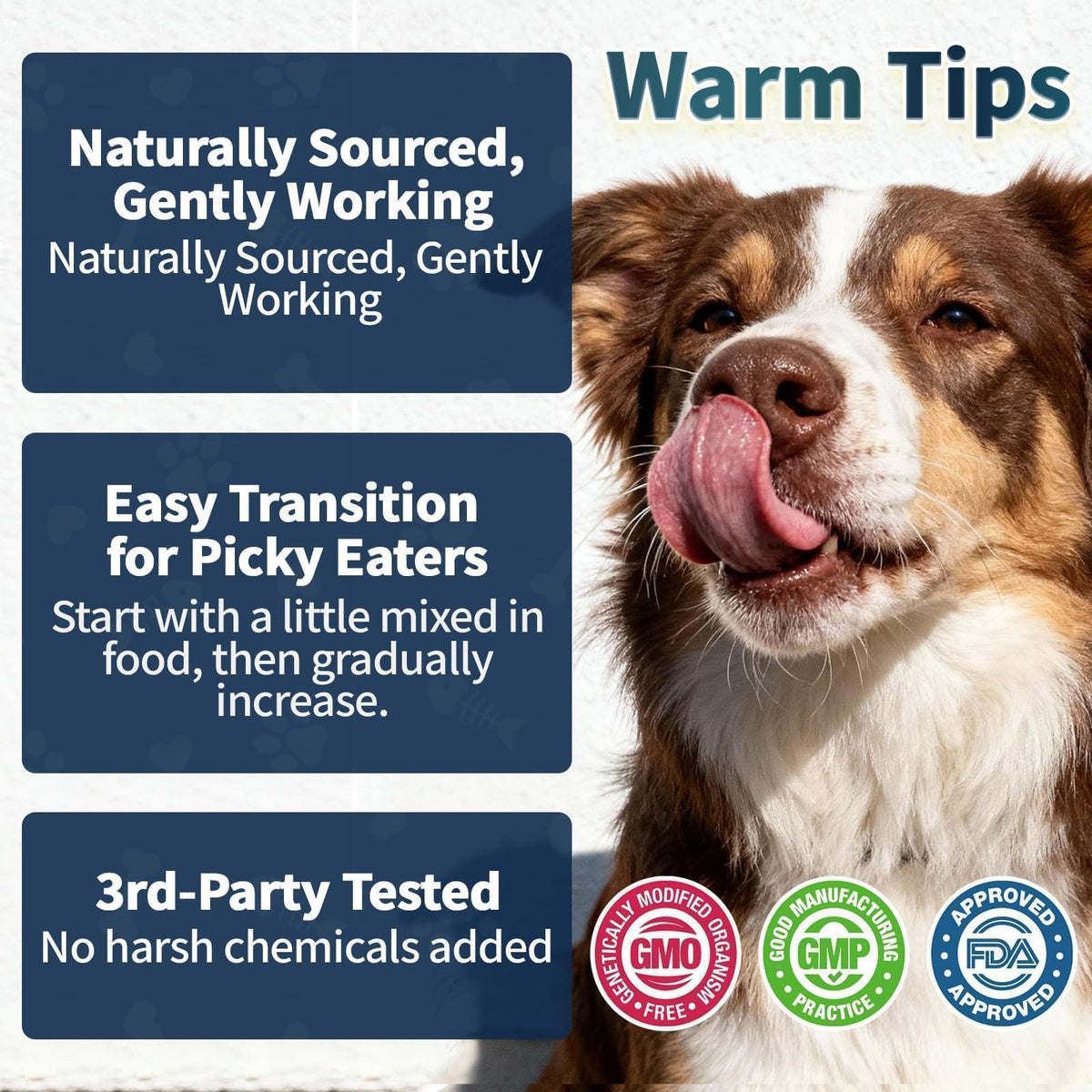 Flea and Tick Prevention for Cats and Dogs Drops T4185