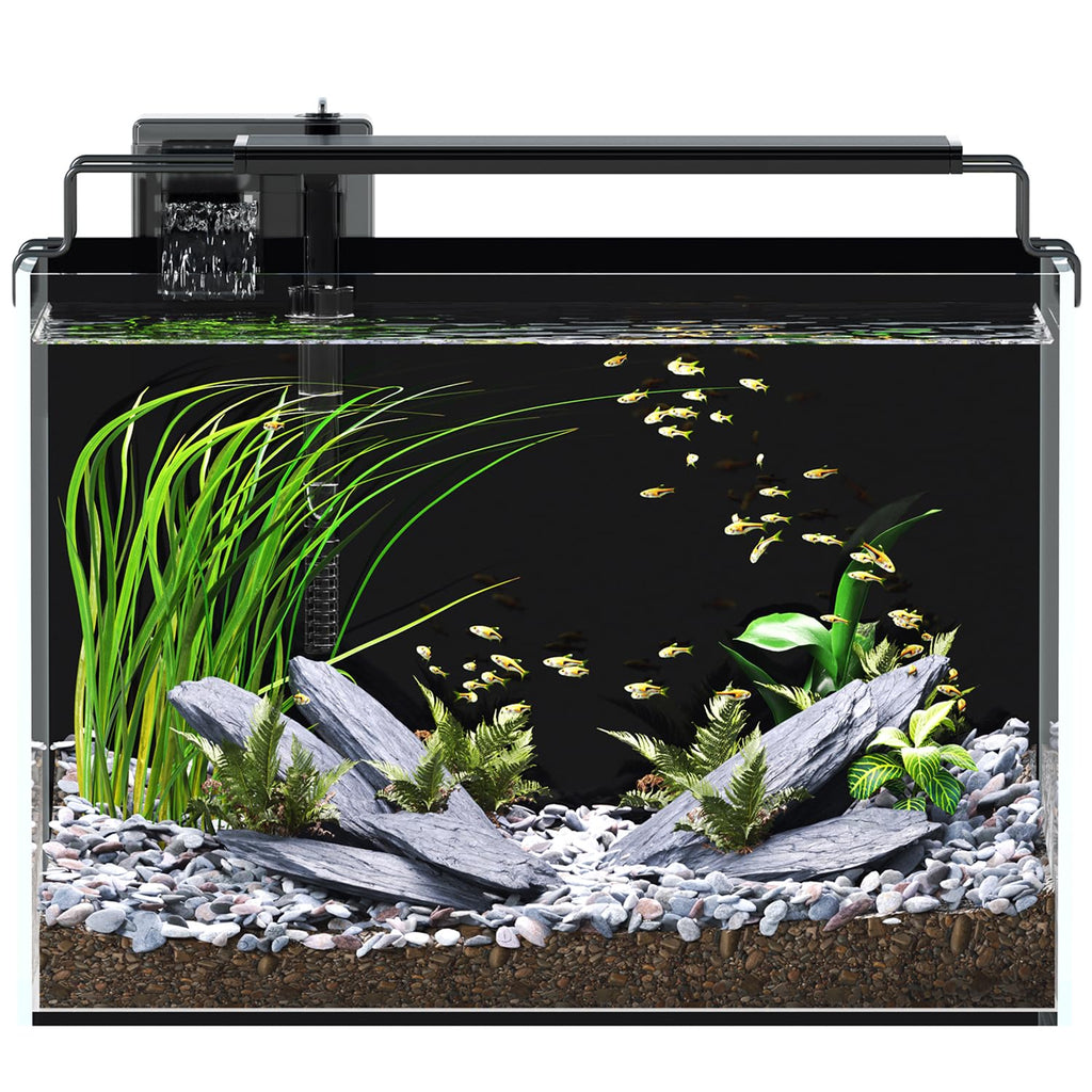 5 Gallon Rimless Glass Aquarium Starter Kit with Filter Light Lid R969