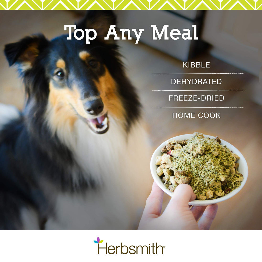 Beef Bone Broth Powder for Dogs 3.35 oz T404032