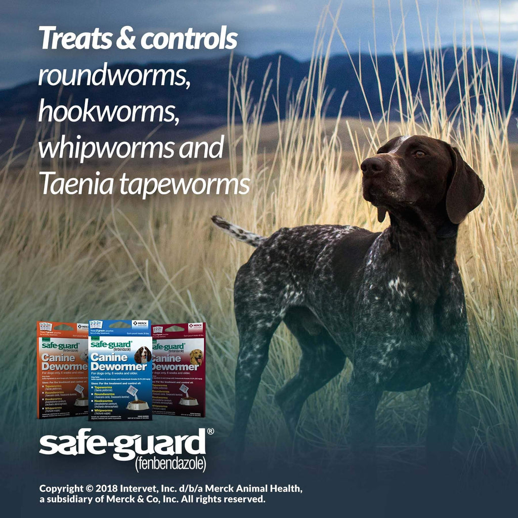 Canine Dewormer 2gm Pouch Pack of 3 P29740