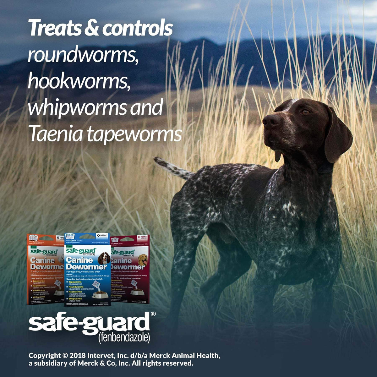 Canine Dewormer 2gm Pouch Pack of 3 P29740