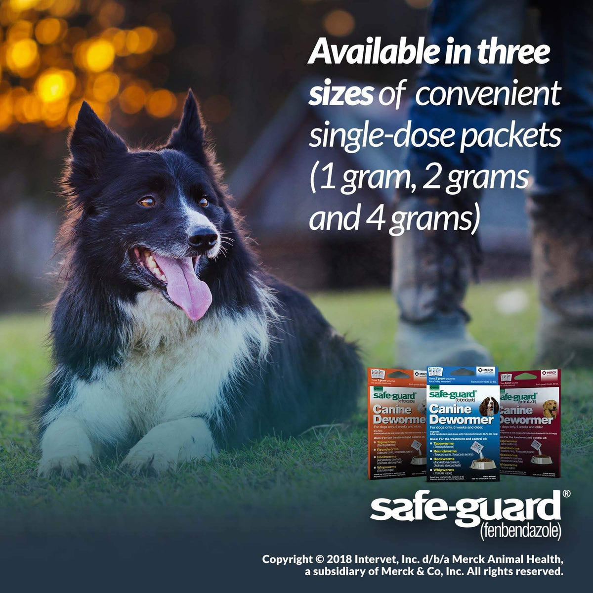 Canine Dewormer 2gm Pouch Pack of 3 P29740