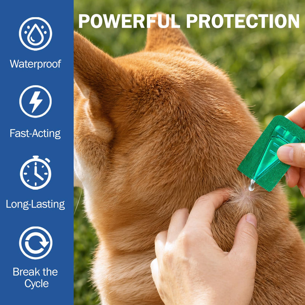 Flea and Tick Prevention for Small and Medium Dogs G9608