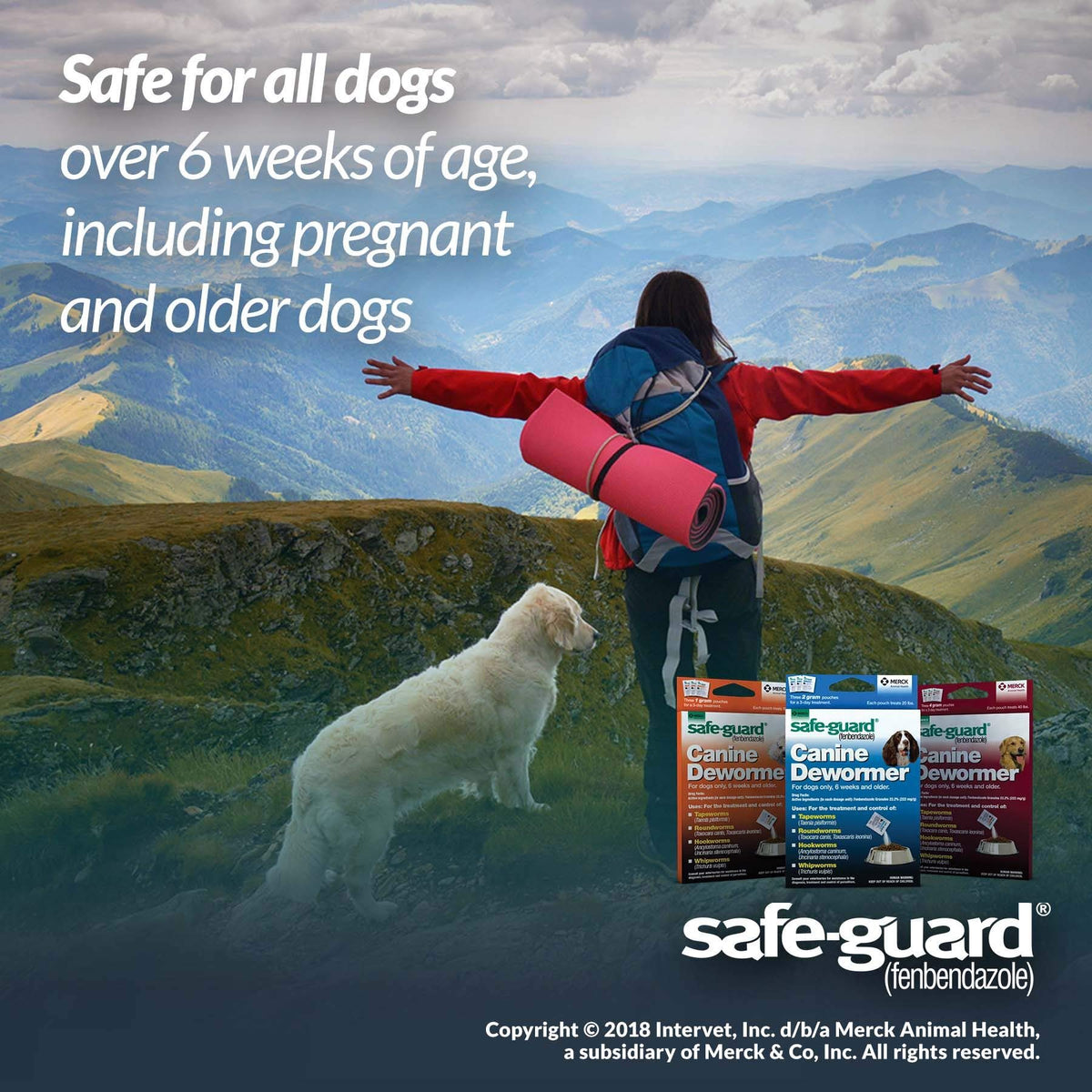 Canine Dewormer 2gm Pouch Pack of 3 P29740