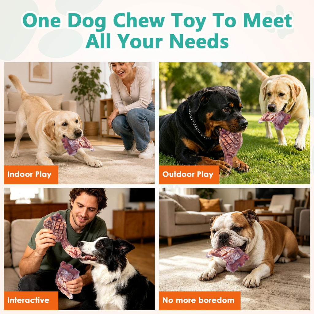 Tough Dog Chew Toys, 2 Pack Hard Nylon Bone N202258
