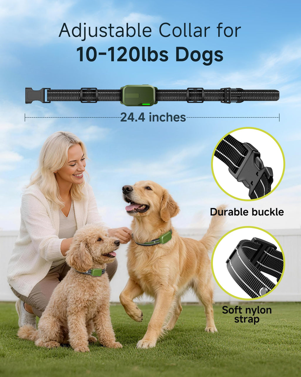 2 Dogs Training Collar with Remote F36866
