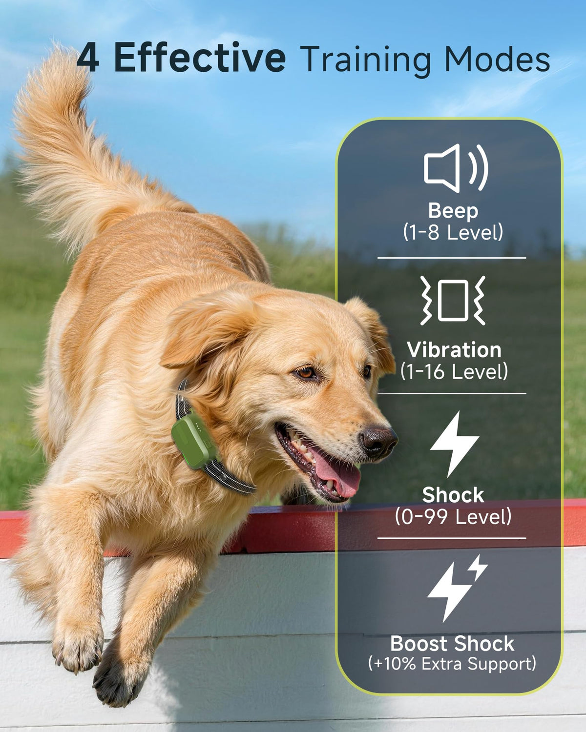 2 Dogs Training Collar with Remote F36866