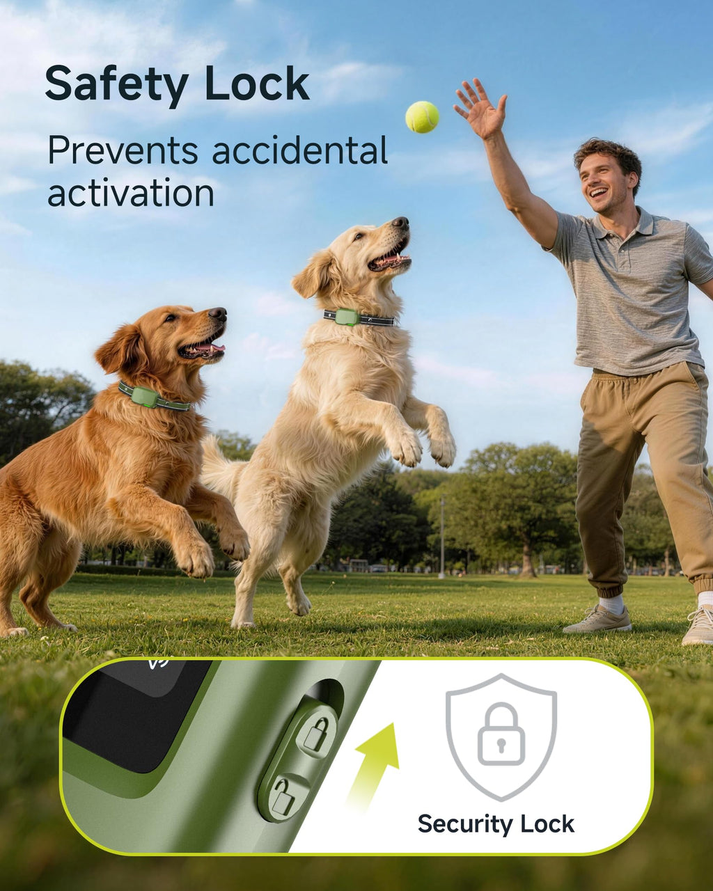 2 Dogs Training Collar with Remote F36866