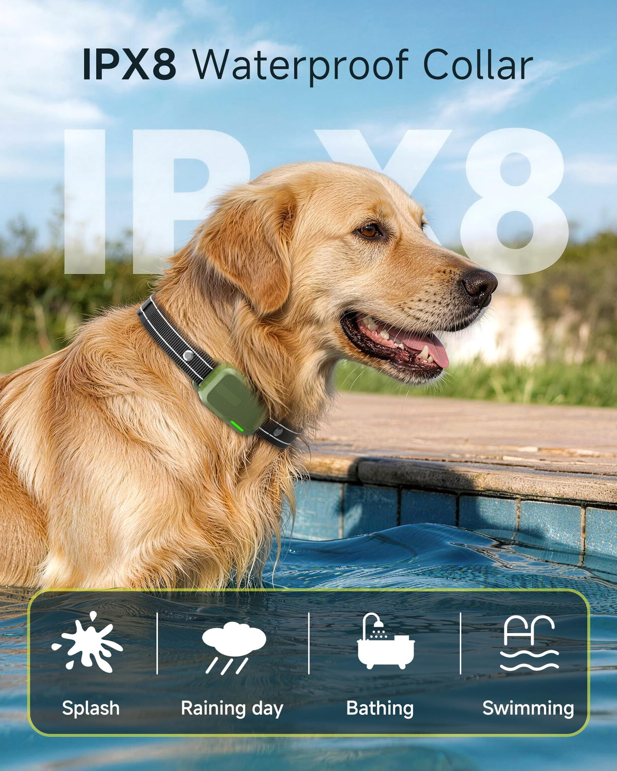 2 Dogs Training Collar with Remote F36866