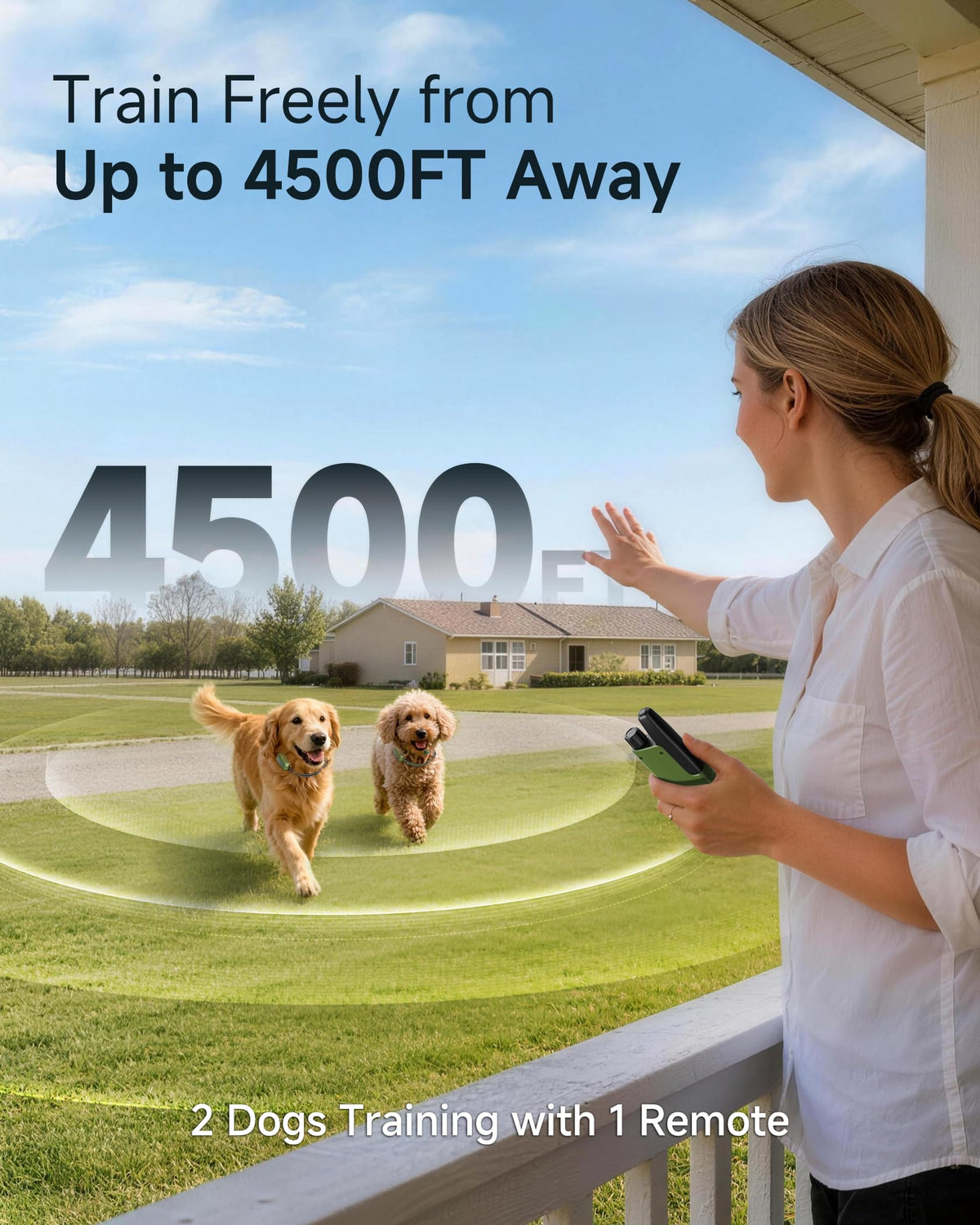 2 Dogs Training Collar with Remote F36866