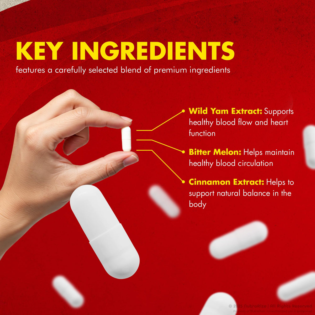 Natural Blood Support Capsules T6185