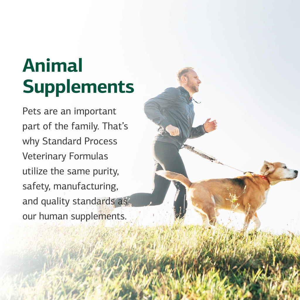 Canine Dermal Support 125 g C895