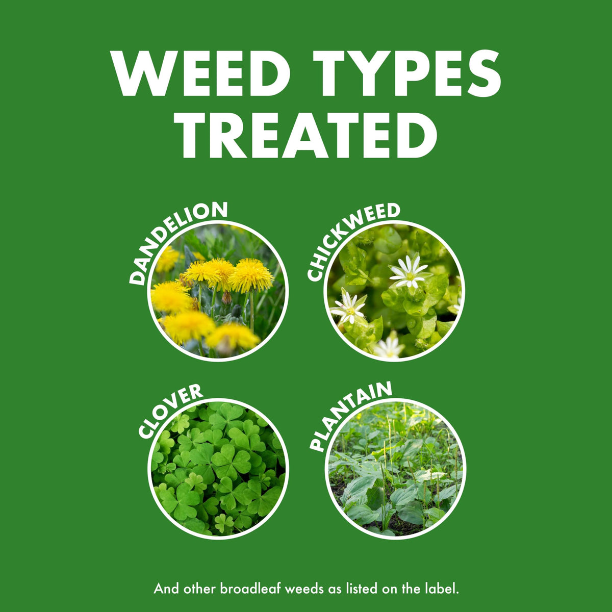 Weed & Feed 32 Oz 3 Pack X64399