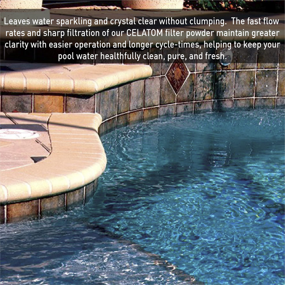 Diatomaceous Earth Pool Filter Aid 50 Pounds B221